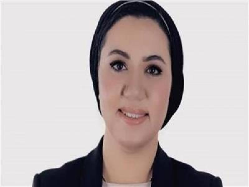 النائبة أميرة صابر عن تنسيقية شباب الأحزاب والسياسيين