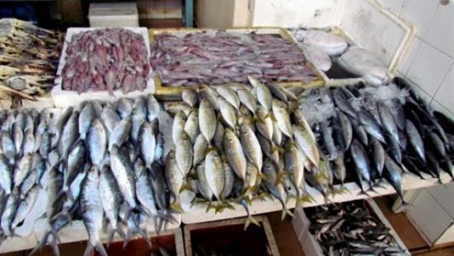 أسعار الأسماك بسوق العبور للجملة اليوم الاثنين 5-7-2021