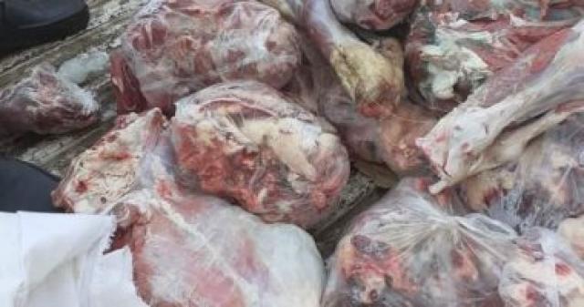 مصادرة طن لحوم فاسدة داخل مطعم شهير للوجبات الجاهزة بالقاهرة