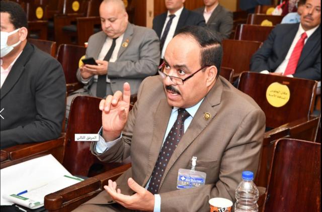 النائب أحمد قورة .. الرئيس السيسي صنع تاريخاً جديداً بعد الاشادات الدولية بالاقتصاد المصرى