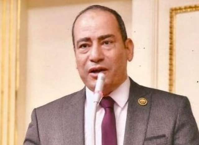 مجاهد نصار: رد مصر الحاسم على تدخل الحكومة الألمانية الجديدة يؤكد يقظة الدولة