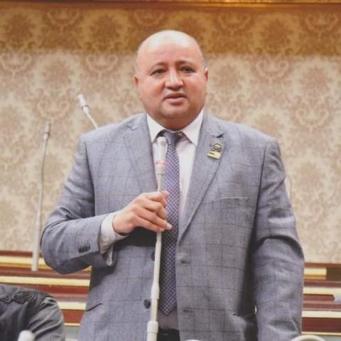 النائب مجدى الأمير