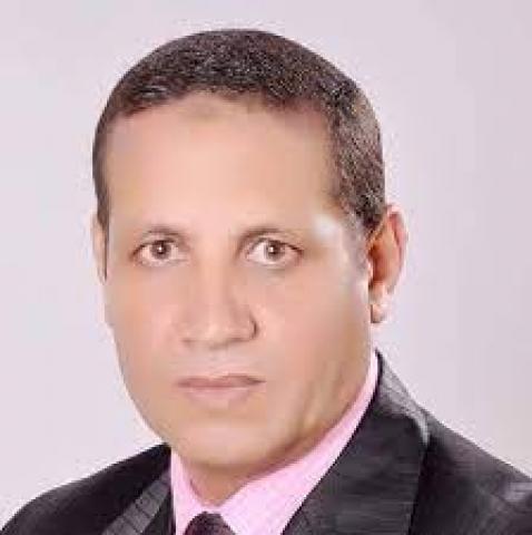 النائب أحمد العرجاوي