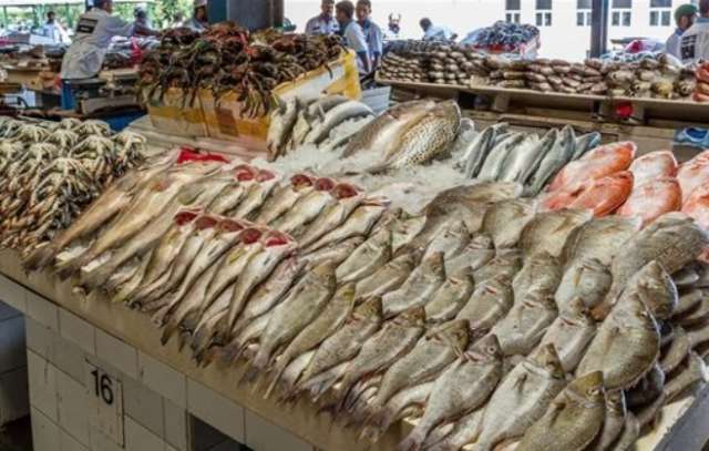 أسعار السمك اليوم 19-2-2022 فى مصر