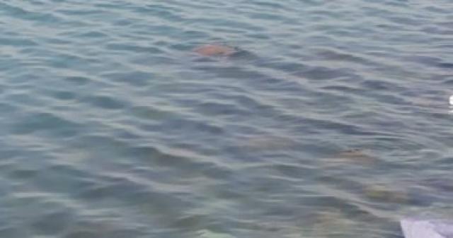 مصرع طفلين غرقا فى مياه البحر المتوسط بالبرلس كفر الشيخ