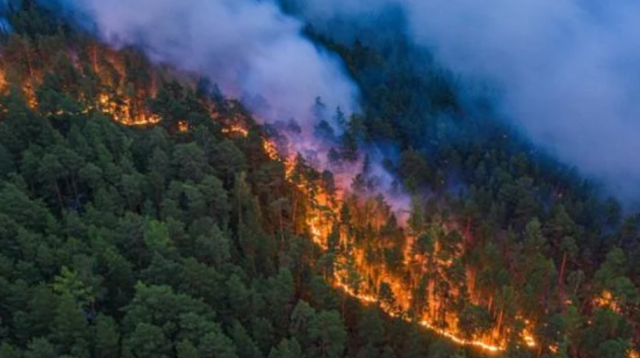 الأسوأ منذ عقود.. النمسا تقدم مساعدات عاجلة لليونان لمكافحة حرائق الغابات