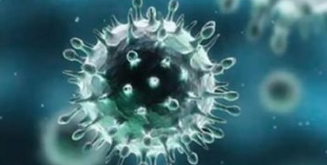 اليابان تسجل أكثر من 14 ألف إصابة بفيروس كورونا