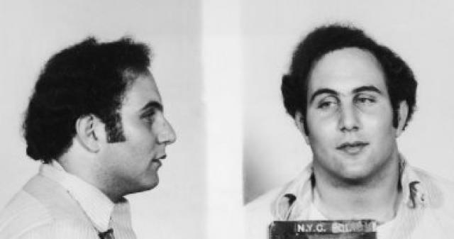 جرائم لا يقبلها عقل