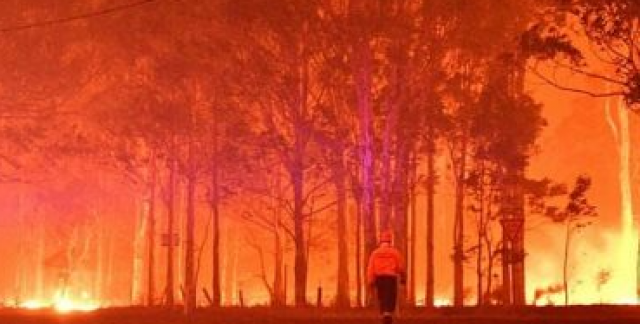 حرائق الغابات ـ صورة أرشيفية
