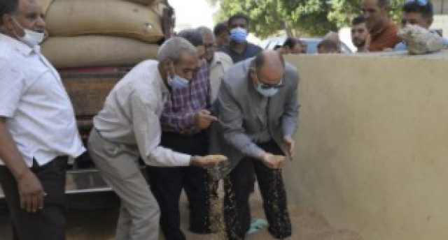 محافظ أسيوط يتابع عمل صوامع شركة مطاحن مصر للتأكد من سلامة القمح