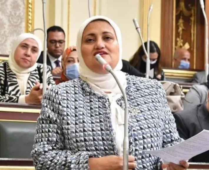 مجلس النواب يرد على مطالبة سناء السعيد بفحص ذمة نائب