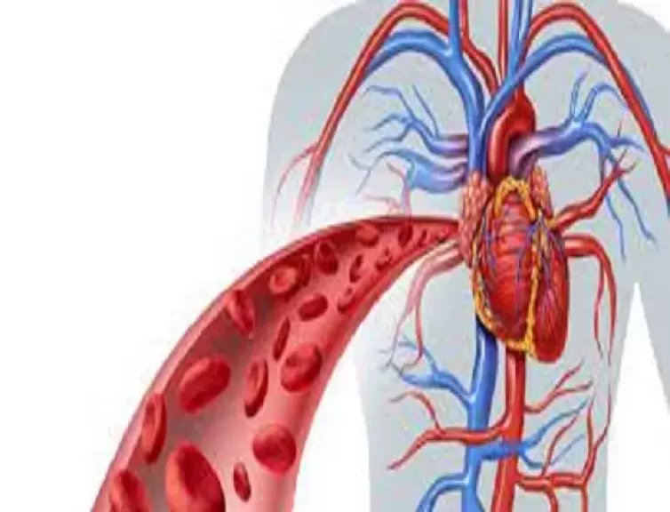 تنشيط الدورة الدموية