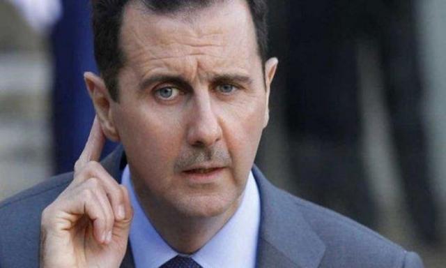الأسد العربي السوري 