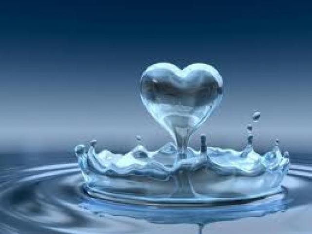  «نقطة مياه .. تساوي حياه»
