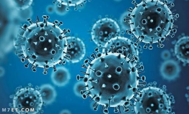عدد وفيات فيروس كورونا حول العالم يتجاوز 5 مليون