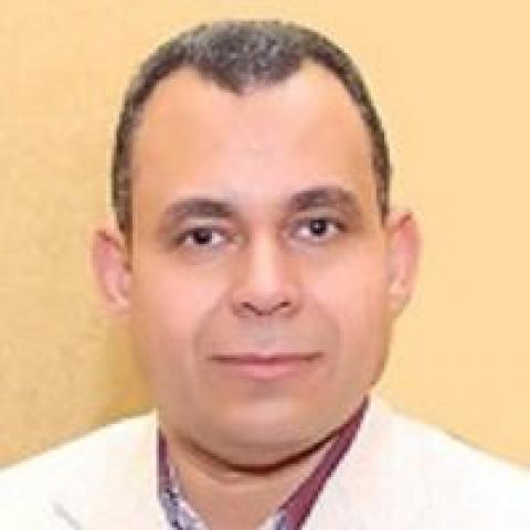  الكاتب الصحفي محمد أبو المجد