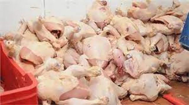 ضبط نصف طن دجاج مجهول المصدر و680 قطعة حلوى منتهية الصلاحية بالأقصر