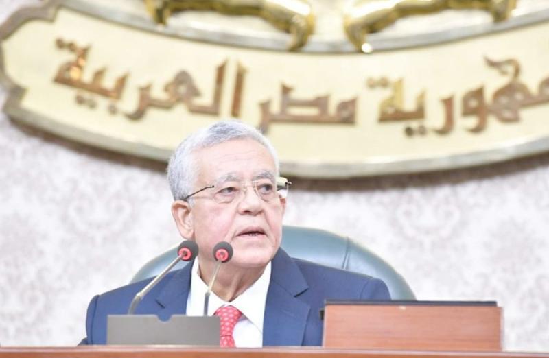 مجلس النواب يشهد جدلاً حول حالة حقوق الانسان فى مصر