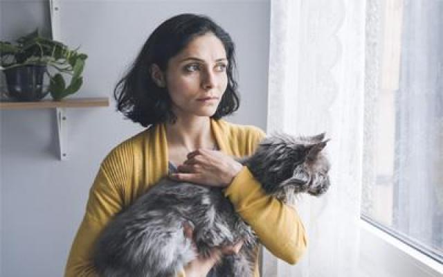 قافلة بين سينمائيات