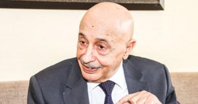 المستشار عقيلة صالح