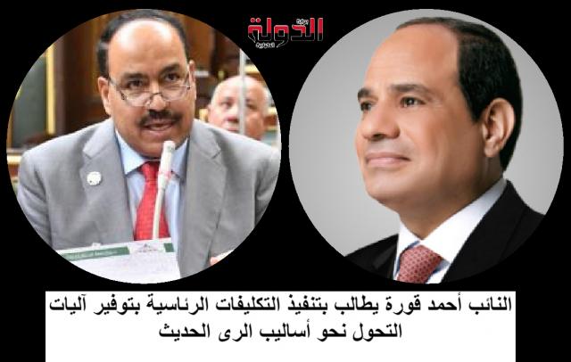 الرئيس عبد الفتاح السيسى - النائب أحمد عبد السلام قورة