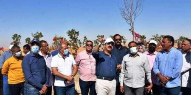 محافظ أسوان