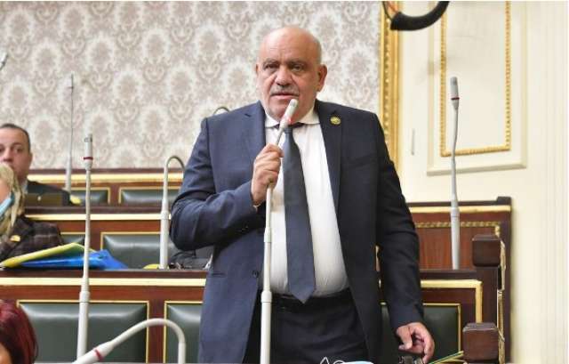 النائب سيد حنفى