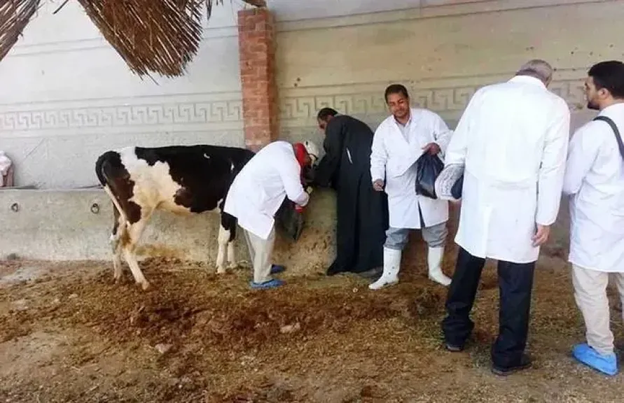 الزراعة والإيفاد يتابعان تنفيذ مشروعات دعم صغار المزارعين