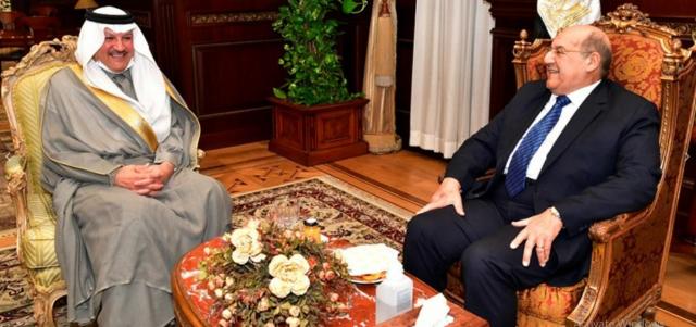 رئيس مجلس الشيوخ يلتقي سفير المملكة العربية السعودية بالقاهرة