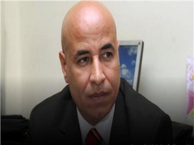 عادل حنفي نائب رئيس اتحاد المصريين بالسعودية