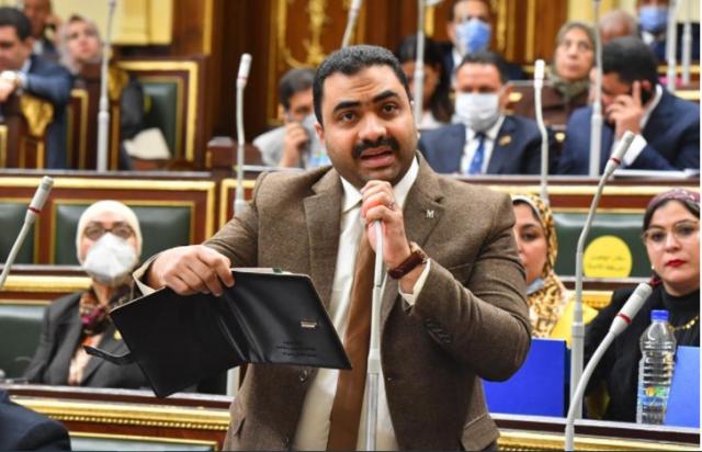 النائب محمود قاسم