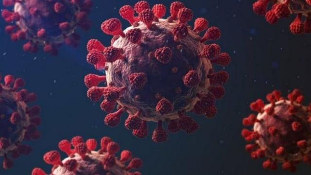 الصحة تكشف حقيقة وجود فيروس جديد