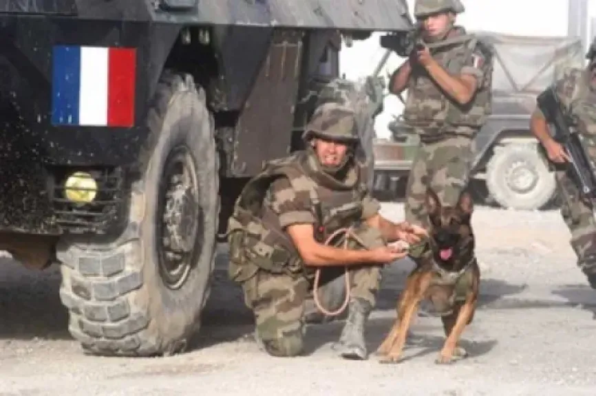 الجيش الفرنسى يطلب الدفعة الأولى من طائرات «أوى» المسيرة