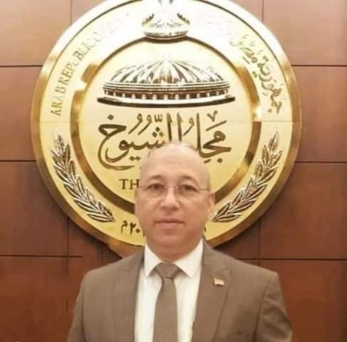 رياض اسماعيل نائب شمال سيناء: إيجيس 2022 يحقق رؤية مصر 2030 بقيادة السيسي
