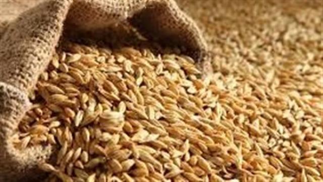 وزارة التموين تناشد المواطنين بعدم تخزين القمح