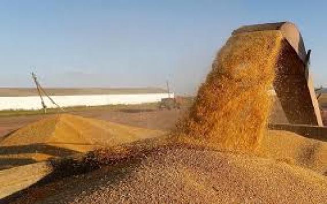 سبوتنيك: الأزمة الروسية الأوكرانية تتسبب فى ارتفاع أسعار القمح العالمية