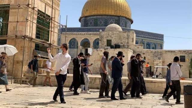 مستوطنون يهود ينتهكون حرمة المسجد الأقصى تحت حماية جنود الصهاينة