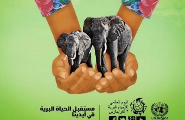مصر تشارك العالم الاحتفال باليوم العالمي للحياة البرية على مواقع التواصل الاجتماعي (صور)