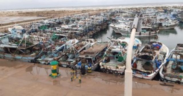 انطلاق مراكب الصيد بالبحر المتوسط وبحيرة البرلس واستمرار انخفاض الحرارة