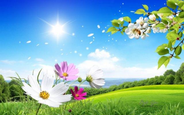 الأرصاد: فصل الربيع يبدأ فلكيًا يوم 21 مارس