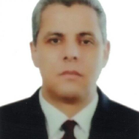 الكاتب الصحفى إبراهيم الديب