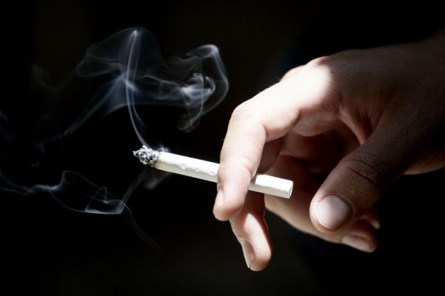 شعبة الدخان: 20 % تراجعاً فى معدل استهلاك السجائر خلال رمضان