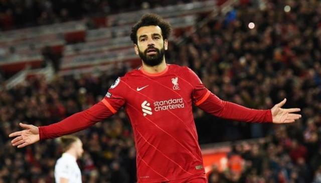 مصر والسنغال