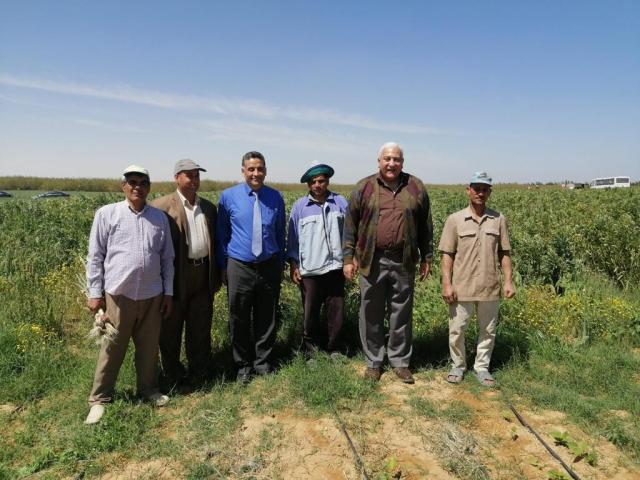جانب من جولة الدكتور أحمد محمد بيومي رئيس جامعة مدينة السادات بالمزرعة