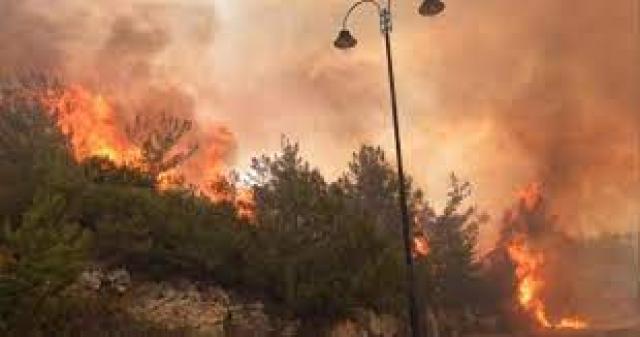 حريق في جبل لبنان