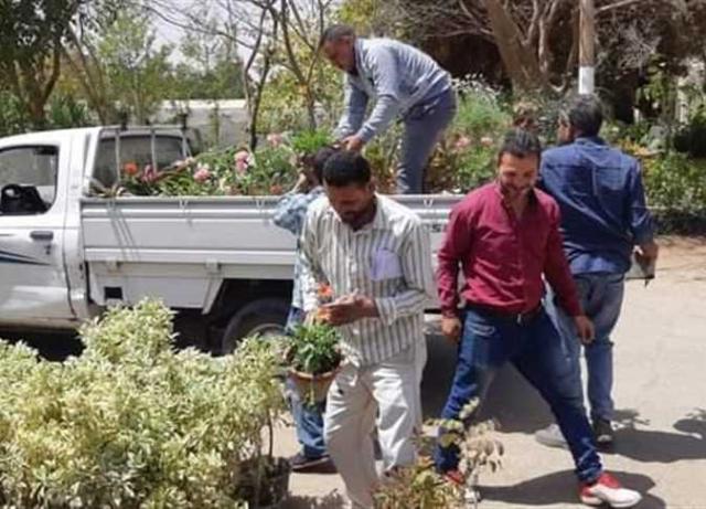 كلية الزراعة في المنيا تهدئ 250 نبات زينة لمشتل المحافظة