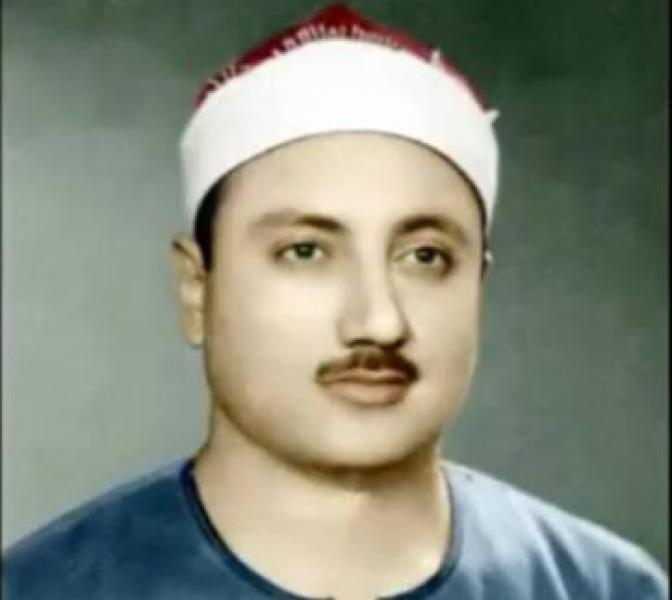 الشيخ محمد الطوخى