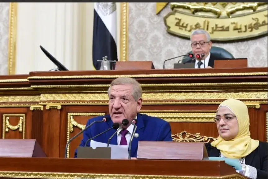 النائبفخرى الفقى يستعرضتعدسلات قانون الضريبة المضافة