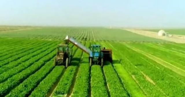 مشروع مستقبل مصر الزراعي