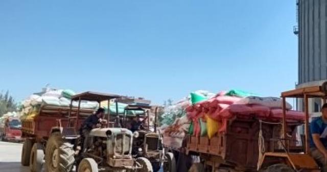 توريد 193 ألف و92 طن قصمح لصوامع كفر الشيخ خلال 24 ساعة